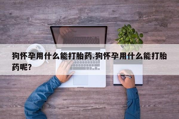 流产药网上专门卖店联系微信狗怀孕用什么能打胎药.狗怀孕用什么能打胎药呢？