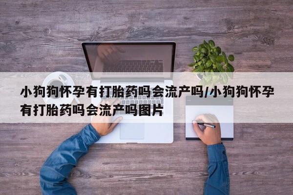 流产药网上专门卖店联系微信小狗狗怀孕有打胎药吗会流产吗/小狗狗怀孕有打胎药吗会流产吗图片