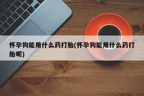 流产药网上专门卖店联系微信怀孕狗能用什么药打胎(怀孕狗能用什么药打胎呢)