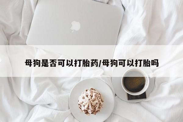 流产药网上专门卖店联系微信母狗是否可以打胎药/母狗可以打胎吗
